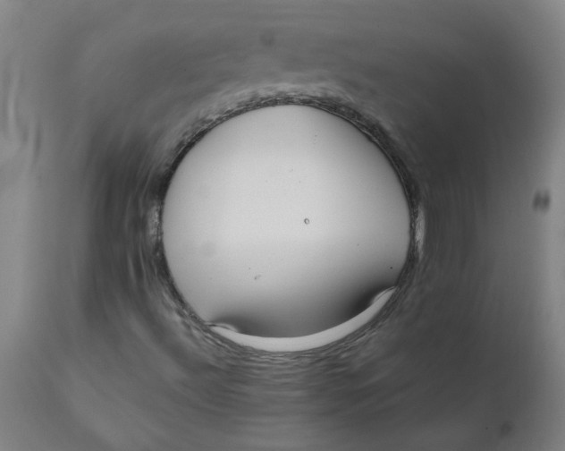 X0000110671492200907021833