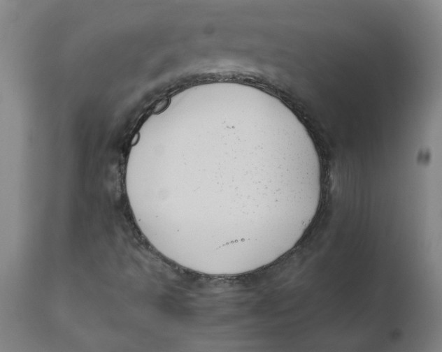X0000110671493200907021833