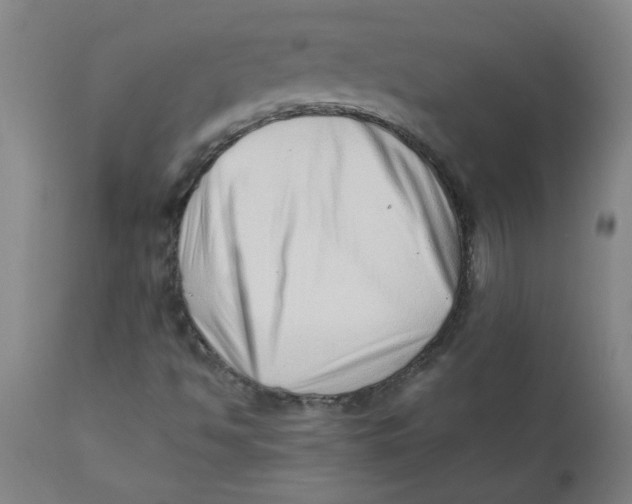 X0000110671494200907021833
