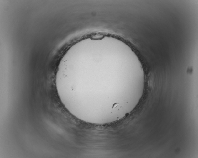 X0000110671495200907021833