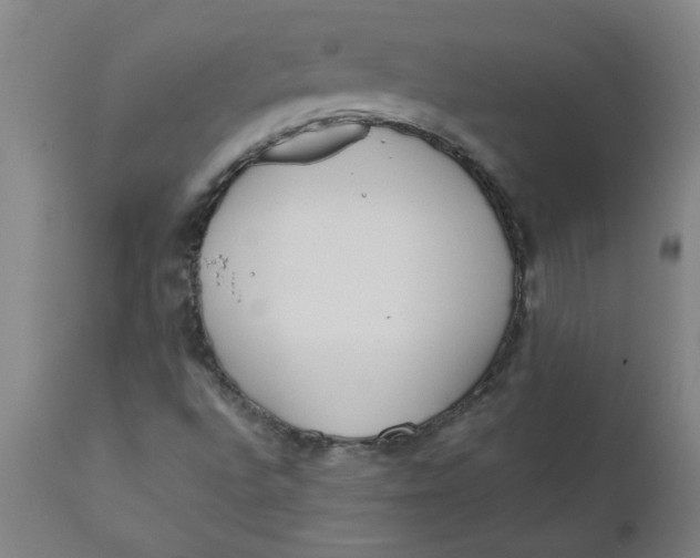 X0000110671496200907021833
