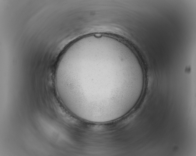 X0000110671497200907021833