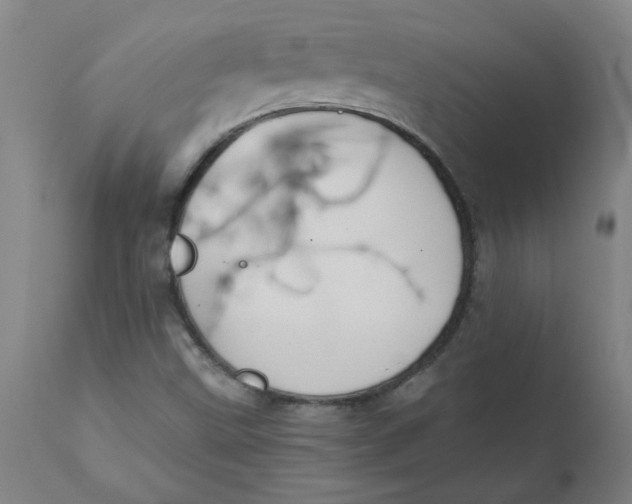 X0000110671499200907021833