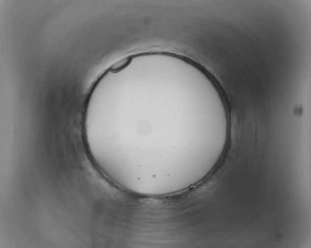 X0000110671500200907021833