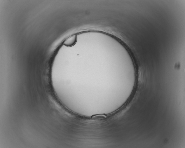 X0000110671502200907021833