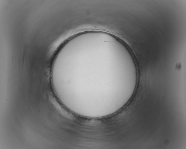 X0000110671503200907021833