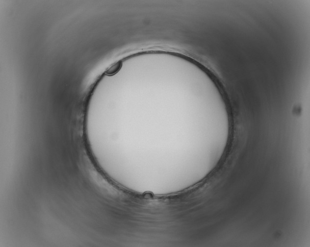 X0000110671504200907021833