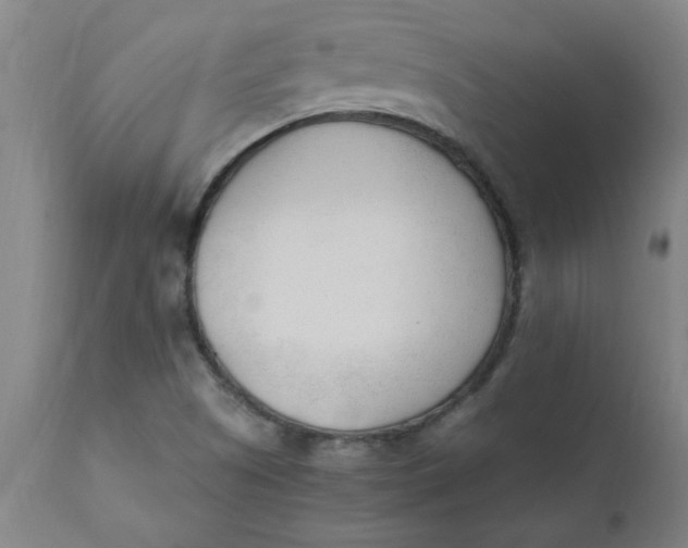 X0000110671505200907021833