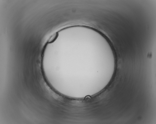 X0000110671508200907021833