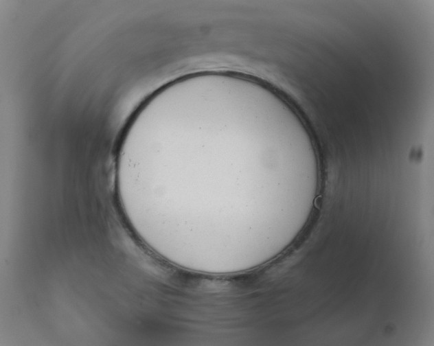 X0000110671509200907021833