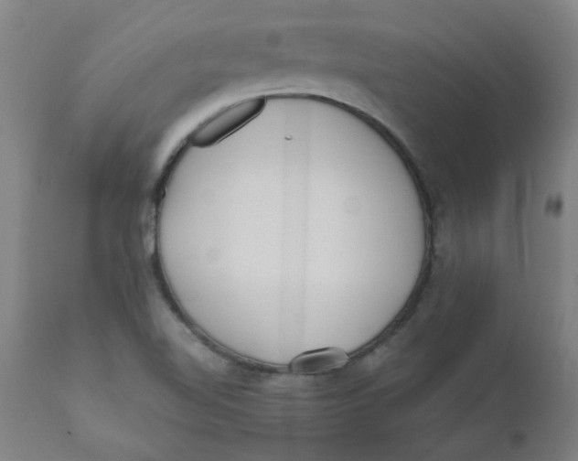 X0000110671510200907021833