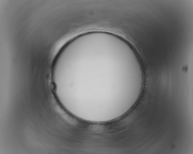 X0000110671511200907021833