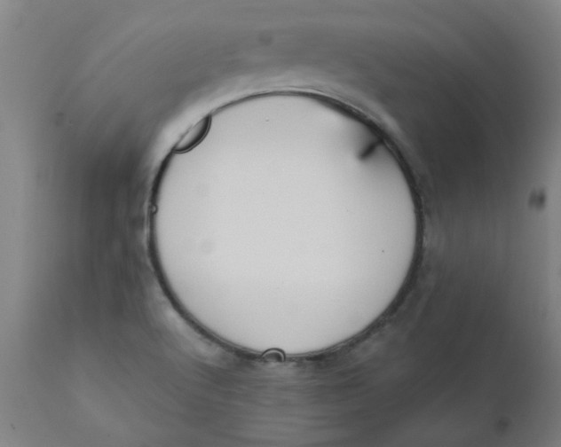 X0000110671512200907021833