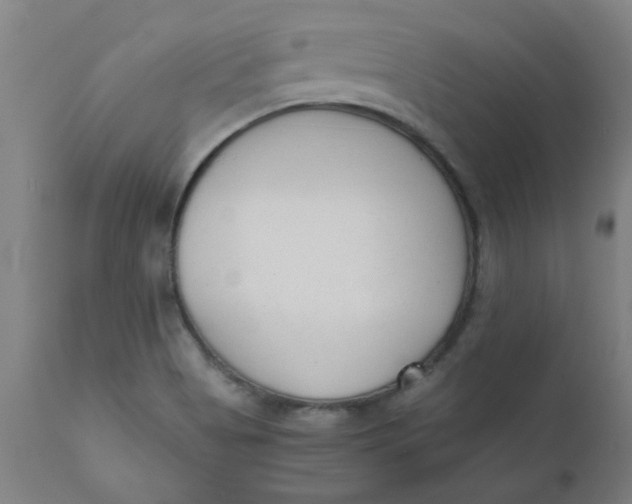 X0000110671513200907021833