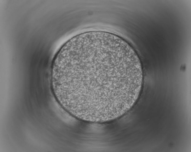 X0000110671514200907021833