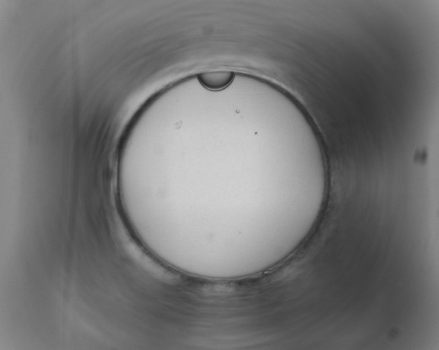 X0000110671515200907021833