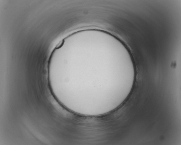X0000110671516200907021833