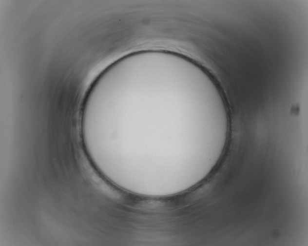 X0000110671517200907021833