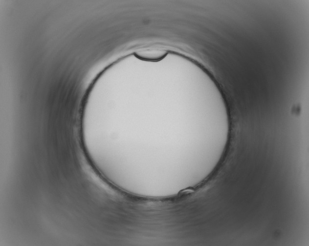 X0000110671518200907021833