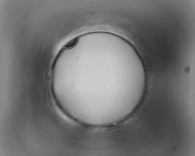 X0000110671519200907021833
