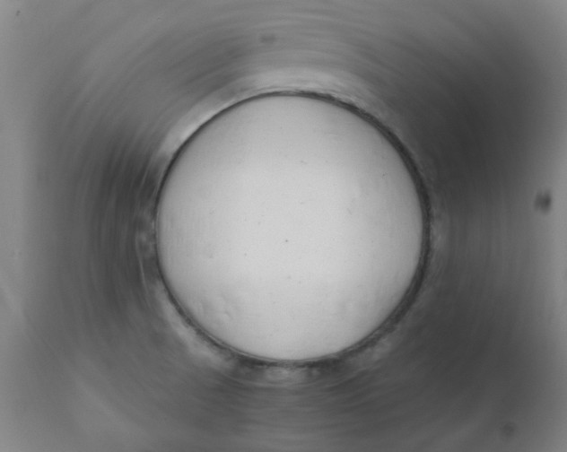 X0000110671521200907021834