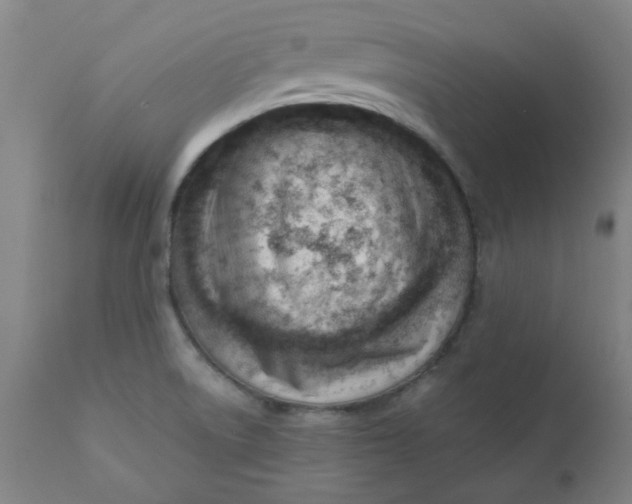 X0000110671522200907021834