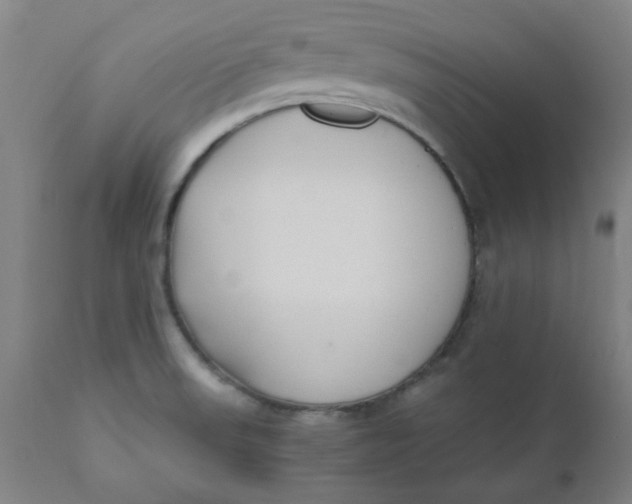 X0000110671523200907021834