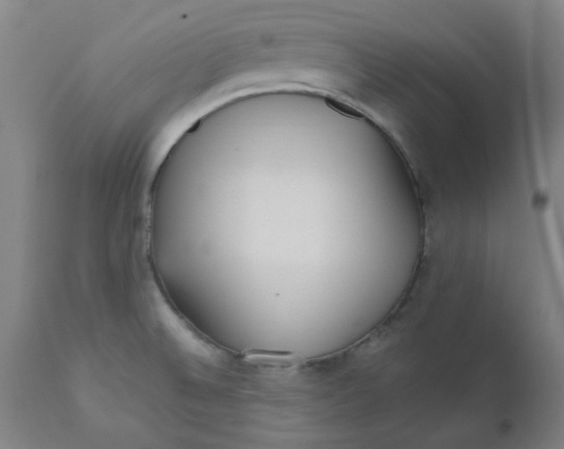 X0000110671524200907021834
