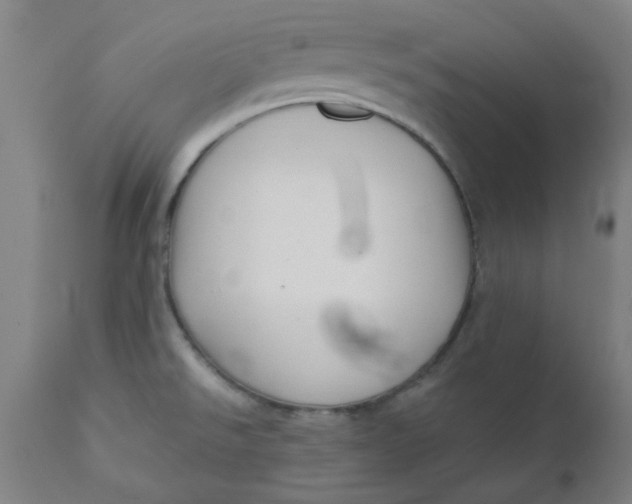 X0000110671526200907021834