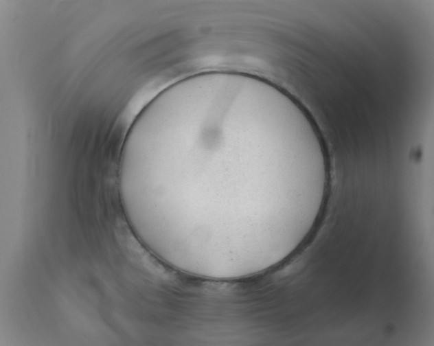 X0000110671529200907021834