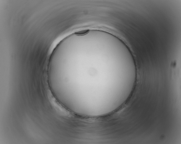 X0000110671530200907021834