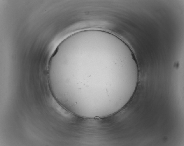 X0000110671532200907021834