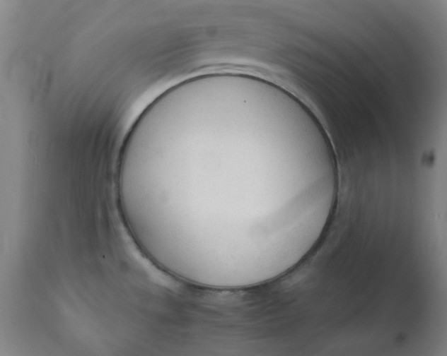 X0000110671533200907021834
