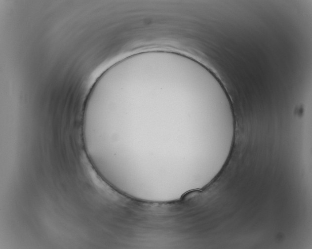 X0000110671534200907021834