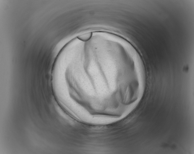 X0000110671535200907021834