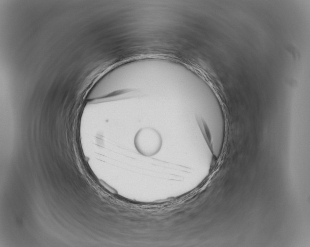 X0000110670001200907101116