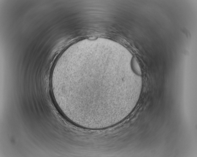 X0000110670002200907101116