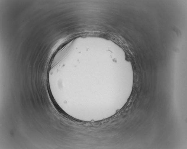 X0000110670003200907101116