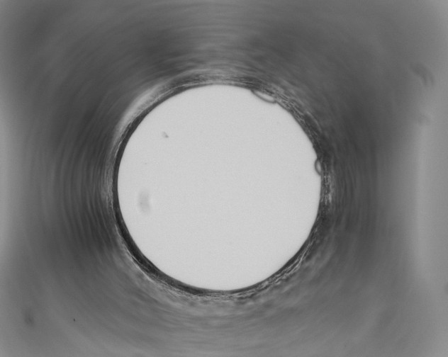 X0000110670004200907101116