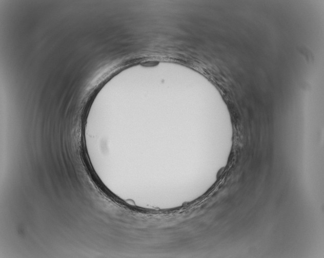 X0000110670005200907101116