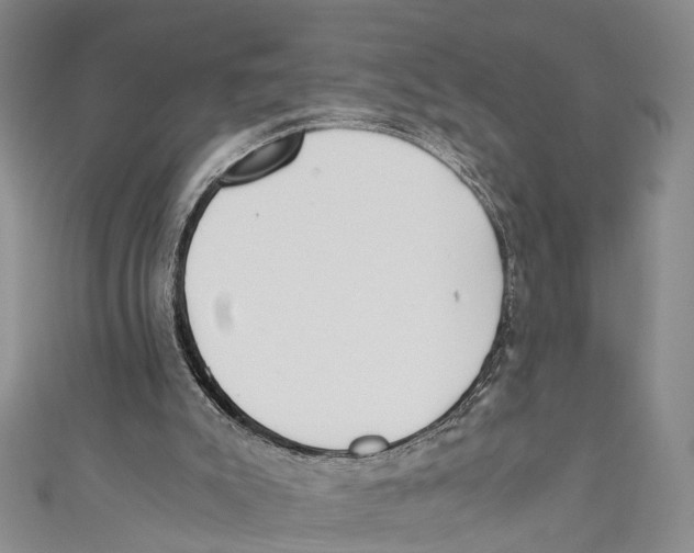 X0000110670007200907101116