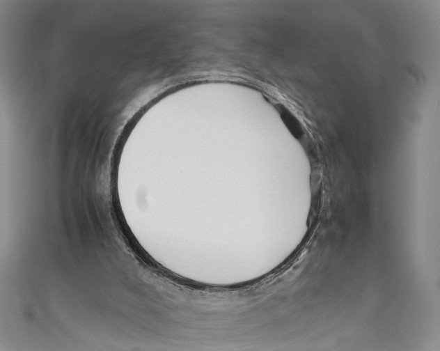 X0000110670008200907101116