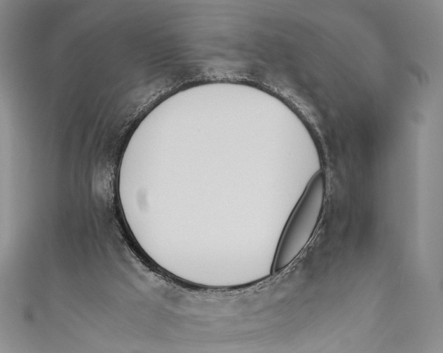 X0000110670009200907101116