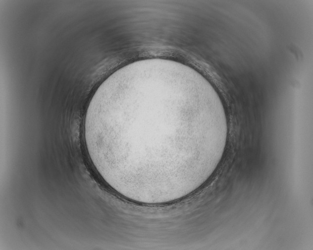 X0000110670010200907101116