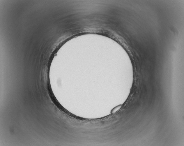 X0000110670011200907101116