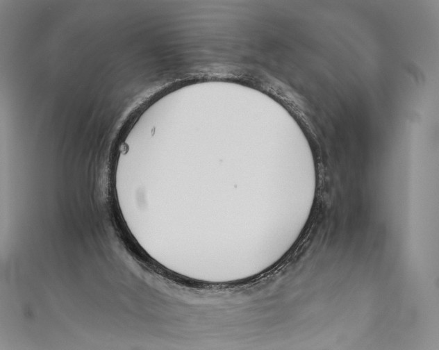 X0000110670012200907101116