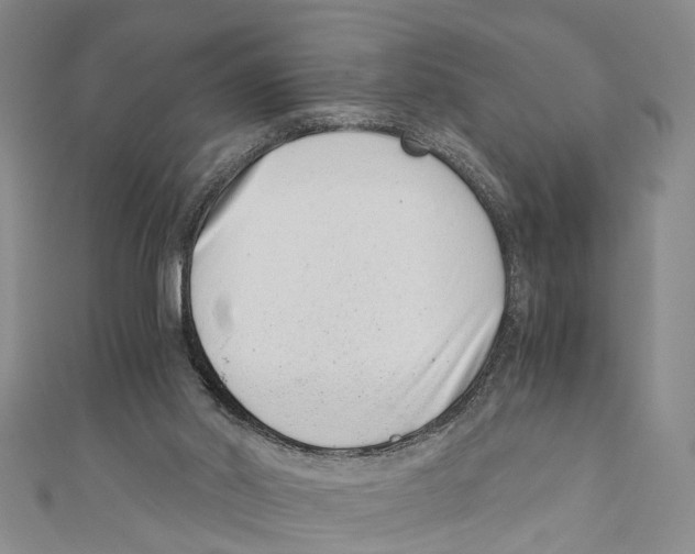 X0000110670014200907101116