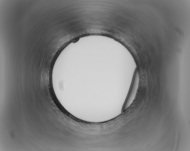 X0000110670015200907101116