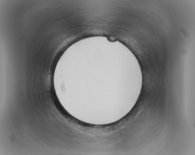 X0000110670016200907101116