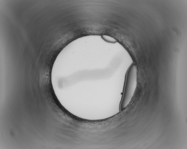 X0000110670017200907101116